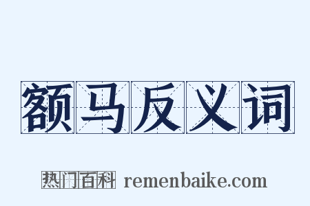 额马反义词是什么意思的图片